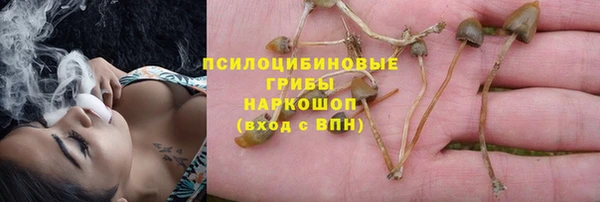 гашиш Абаза