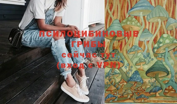 МДПВ Алексеевка