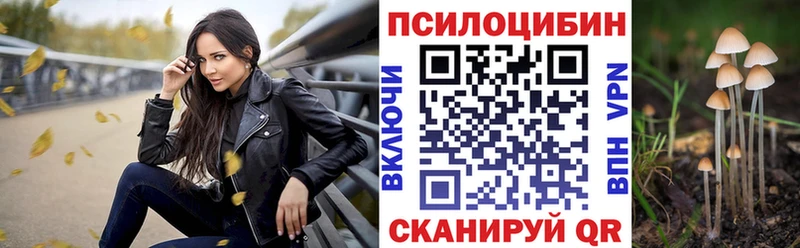 цена   Кирс  hydra онион  Псилоцибиновые грибы Psilocybine cubensis 